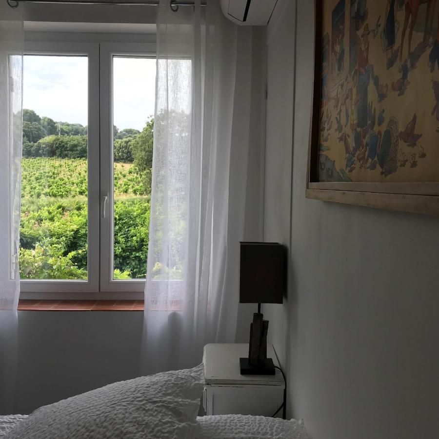 Chambres D'Hotes Et Gites Le Mas Mellou Orange  Kültér fotó